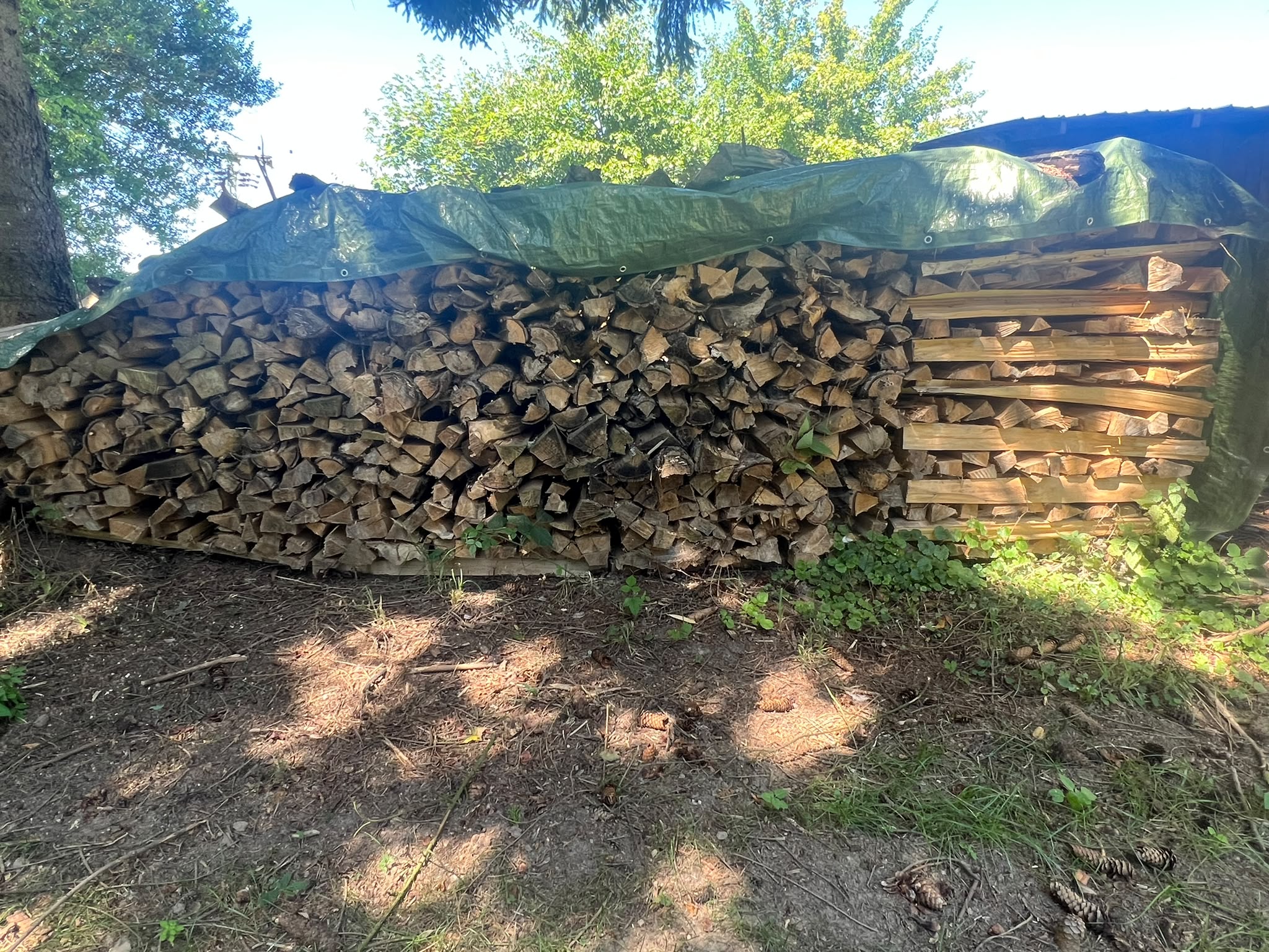 Abgedeckt gelagertes Pappelbrennholz am Abholstandort